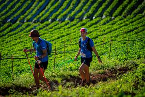 BIB: 
                            <button type="button" onclick="openModal(19160517)" class="btn btn-primary btn-sm float-right btn-popup" data-toggle="modal" data-target=".modal-high-quality">
                        <i class="fas fa-shopping-cart"></i> Add to Cart
                    </button>
                                            <button type="button" onclick="isThisMe(19160517, true)" class="btn btn-success btn-sm float-right btn-popup btn-isme hidden" data-toggle="tooltip" data-placement="bottom" title="นี่คือรูปของคุณใช่ไหม คลิกที่นี่เพื่อเอาเข้าอัลบั้ม">
                        <i class="fas fa-plus"></i> Add to album
                    </button>
                    <button type="button" onclick="isThisMe(19160517, false)" class="btn btn-warning btn-sm float-right btn-popup btn-isnotme hidden">
                        <i class="fas fa-ban"></i> Remove from album
                    </button>